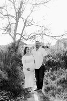 herrera_2026_001-2