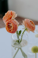 mahin_018