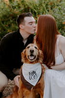 E&J_engagement_006