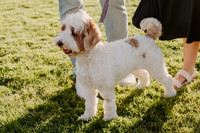 family_photos_2026_001