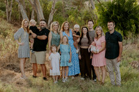 family_2026_003
