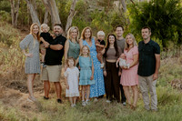 family_2026_004