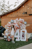 party_2026_005