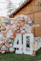 party_2026_011