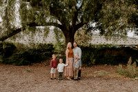 owens_2021_002