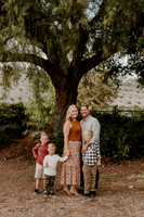 owens_2021_003