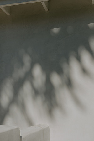 Palms_2026_015