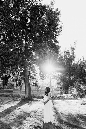 maternity_008-2