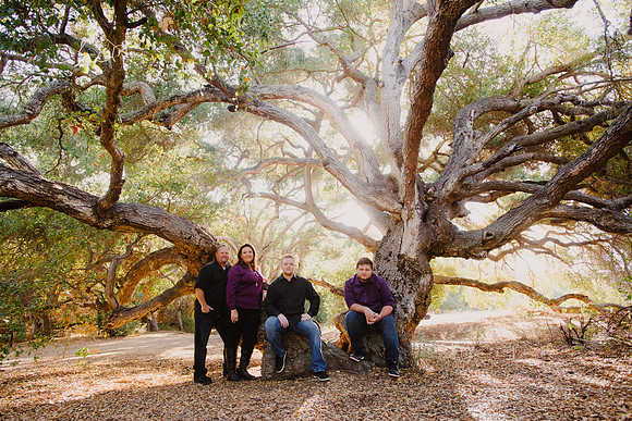 hollenbeck_2014_11
