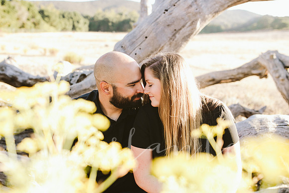 stephanie&andrew_076