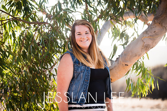 savanna_038