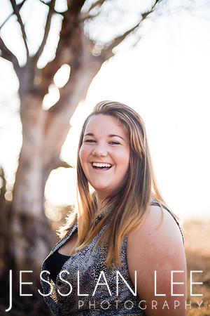 savanna_076