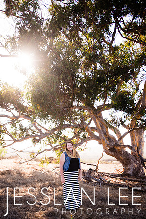 savanna_013