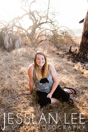 savanna_064