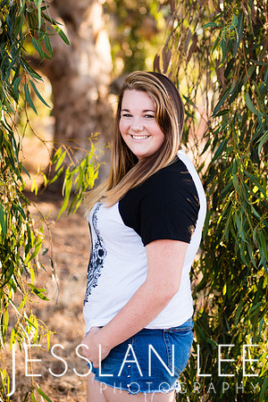 savanna_112