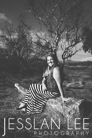 savanna_048