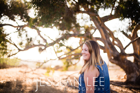 savanna_022