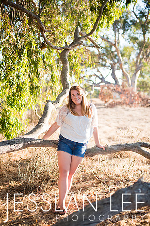 savanna_079