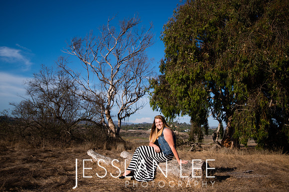savanna_042