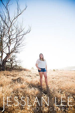savanna_091