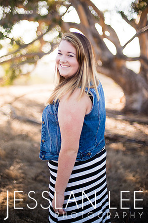 savanna_020