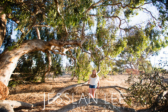 savanna_082