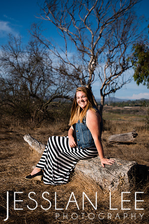 savanna_047