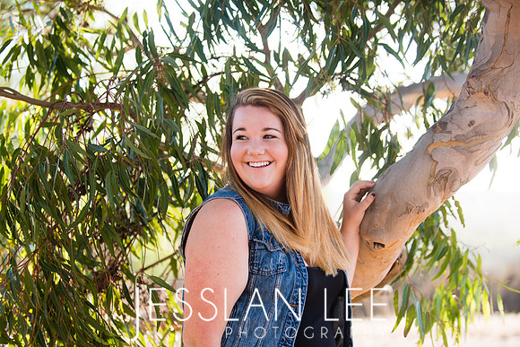 savanna_033
