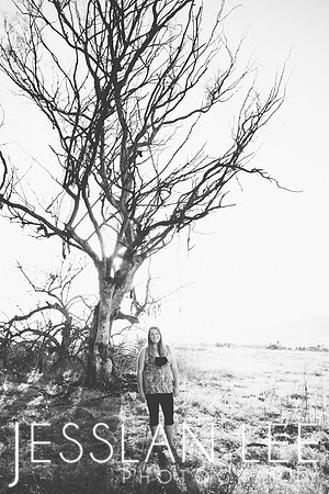 savanna_072