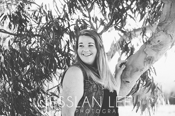 savanna_034
