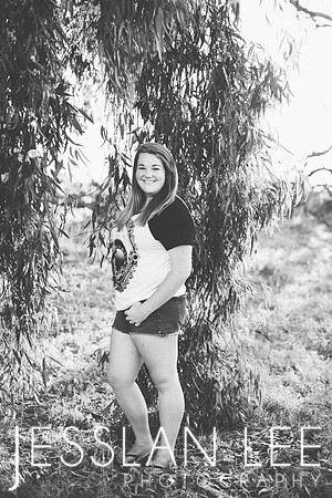 savanna_115
