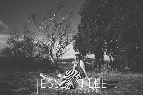 savanna_045