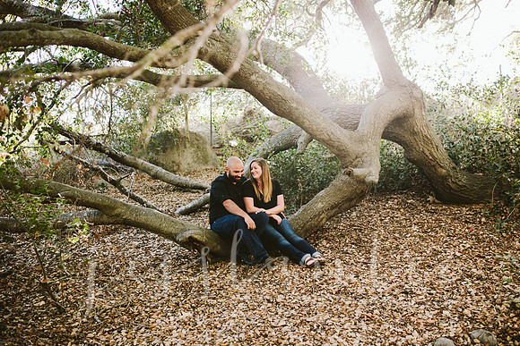 stephanie&andrew_016