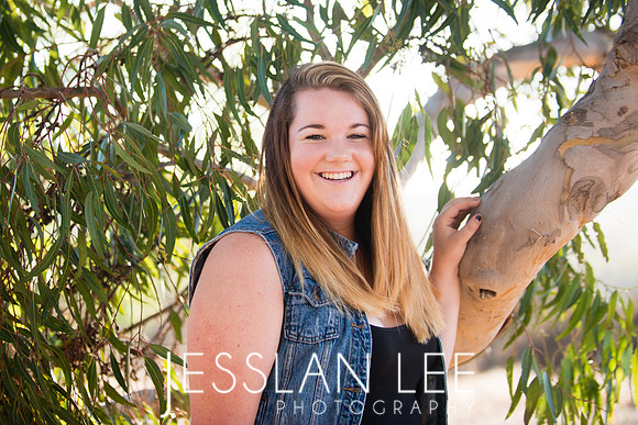 savanna_032