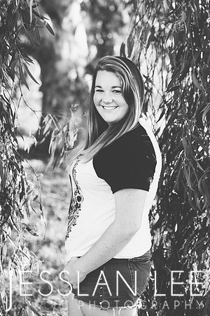 savanna_113