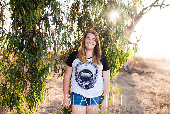 savanna_107