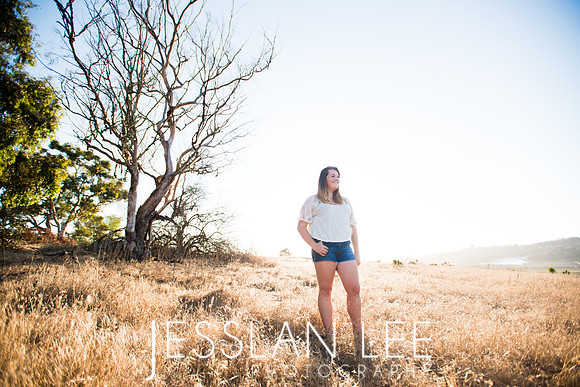 savanna_087