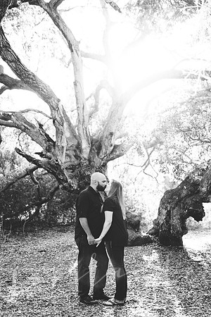 stephanie&andrew_027
