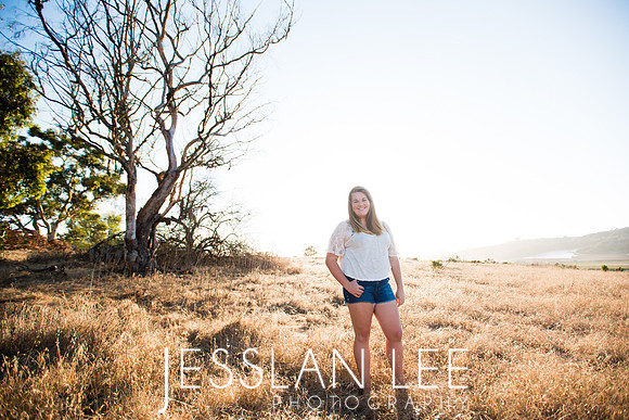savanna_085