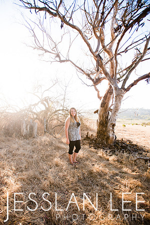 savanna_063