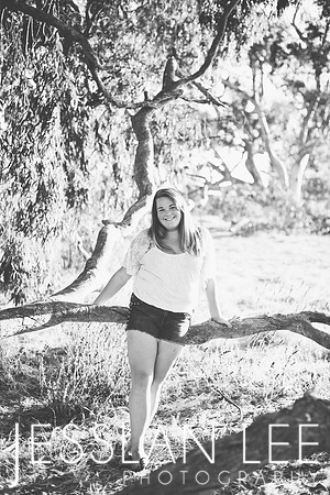 savanna_080