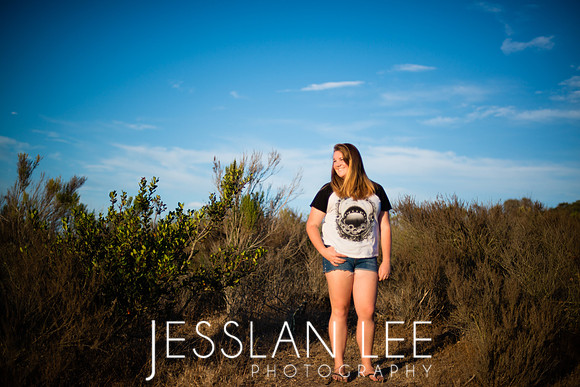 savanna_133