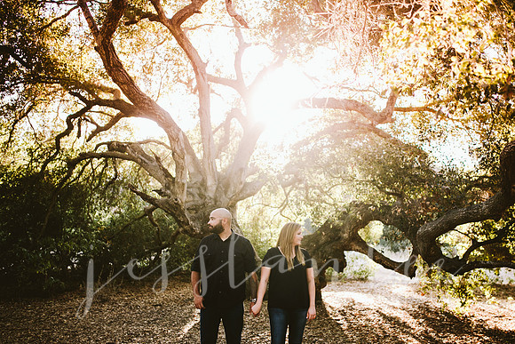 stephanie&andrew_041
