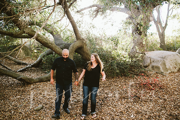 stephanie&andrew_025