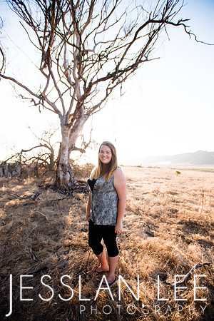 savanna_075