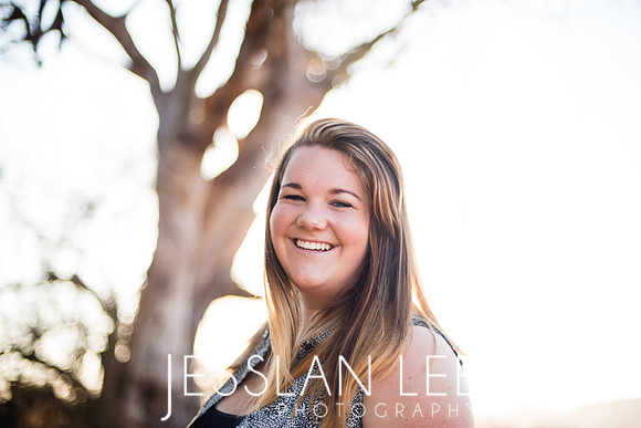 savanna_077