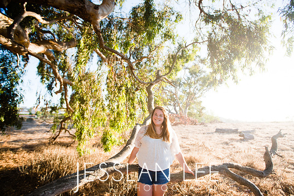 savanna_084