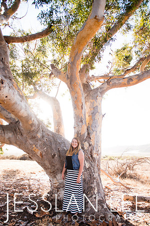 savanna_024