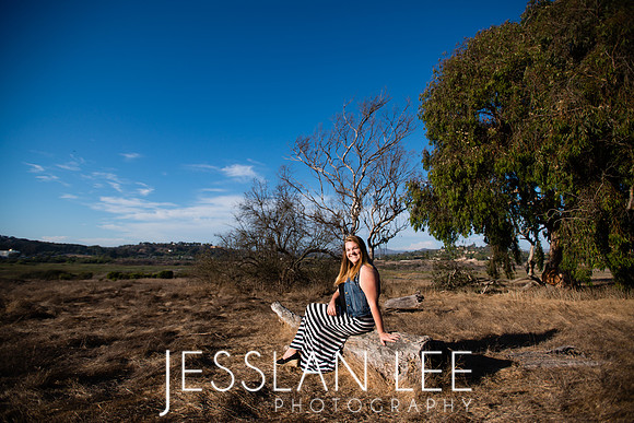 savanna_046