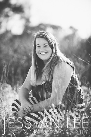 savanna_004